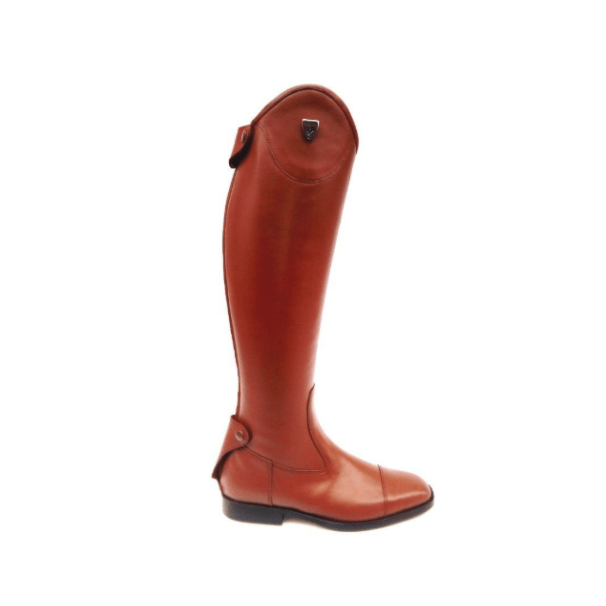 Doma: Modelo Valencia